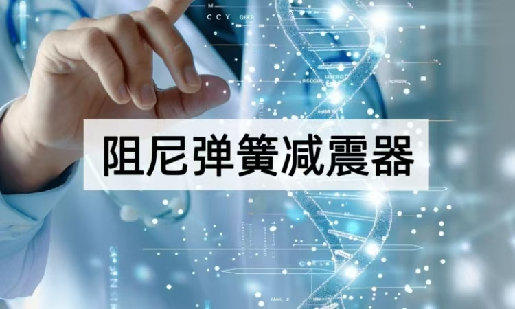 阻尼弹簧减震器工作原理揭秘：从力学平衡到动态稳定的减震之道